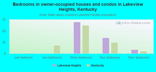Bedrooms in owner-occupied houses and condos in Lakeview Heights, Kentucky