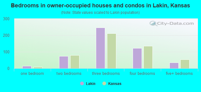 Bedrooms in owner-occupied houses and condos in Lakin, Kansas