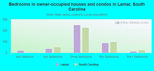 Bedrooms in owner-occupied houses and condos in Lamar, South Carolina