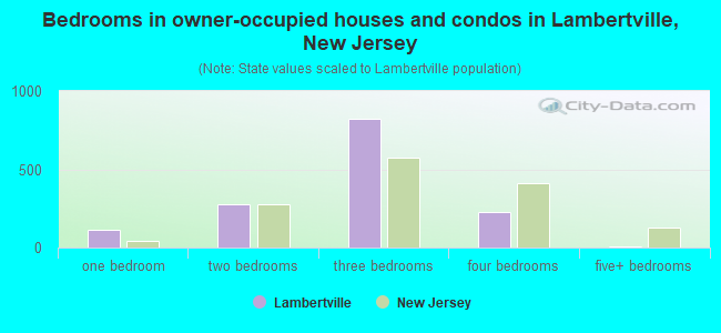 Bedrooms in owner-occupied houses and condos in Lambertville, New Jersey