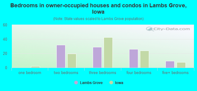 Bedrooms in owner-occupied houses and condos in Lambs Grove, Iowa