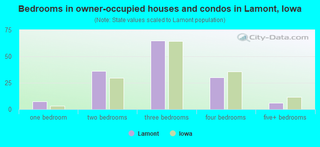 Bedrooms in owner-occupied houses and condos in Lamont, Iowa