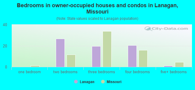 Bedrooms in owner-occupied houses and condos in Lanagan, Missouri