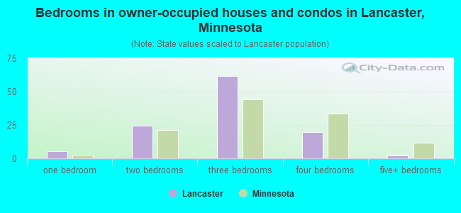 Bedrooms in owner-occupied houses and condos in Lancaster, Minnesota
