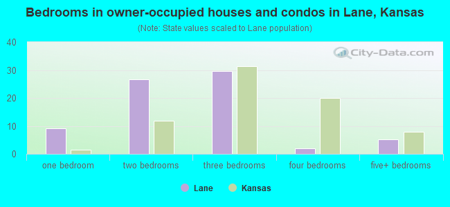 Bedrooms in owner-occupied houses and condos in Lane, Kansas