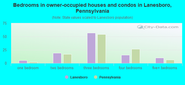 Bedrooms in owner-occupied houses and condos in Lanesboro, Pennsylvania