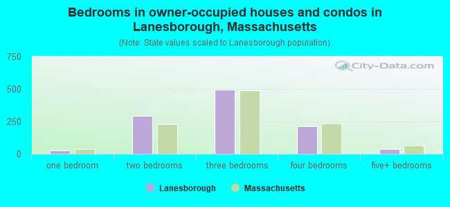 Bedrooms in owner-occupied houses and condos in Lanesborough, Massachusetts