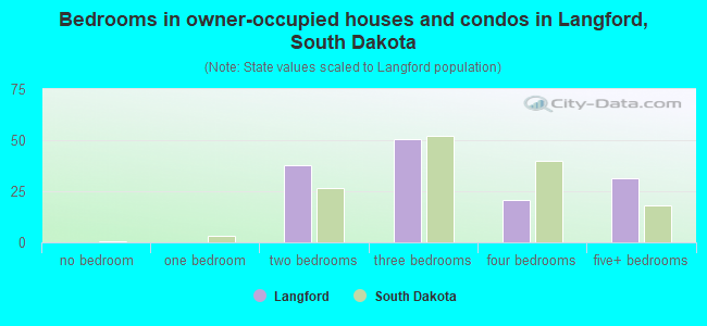 Bedrooms in owner-occupied houses and condos in Langford, South Dakota