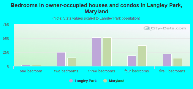 Bedrooms in owner-occupied houses and condos in Langley Park, Maryland