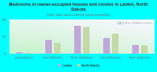 Bedrooms in owner-occupied houses and condos in Lankin, North Dakota