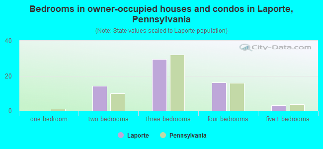 Bedrooms in owner-occupied houses and condos in Laporte, Pennsylvania