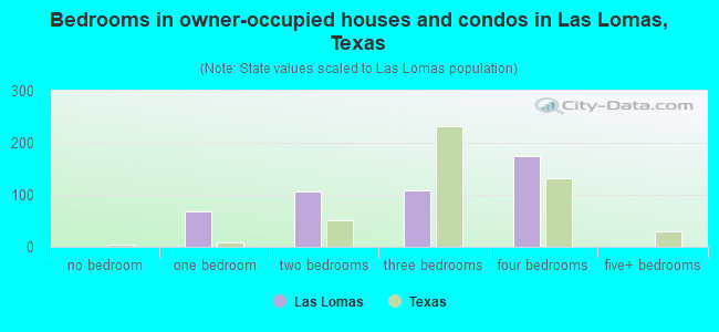 Bedrooms in owner-occupied houses and condos in Las Lomas, Texas