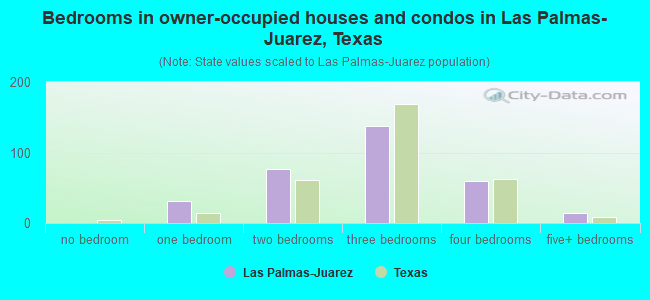 Bedrooms in owner-occupied houses and condos in Las Palmas-Juarez, Texas