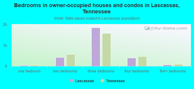 Bedrooms in owner-occupied houses and condos in Lascassas, Tennessee