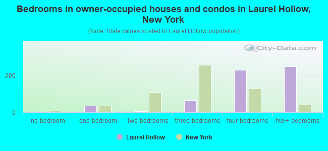 Bedrooms in owner-occupied houses and condos in Laurel Hollow, New York