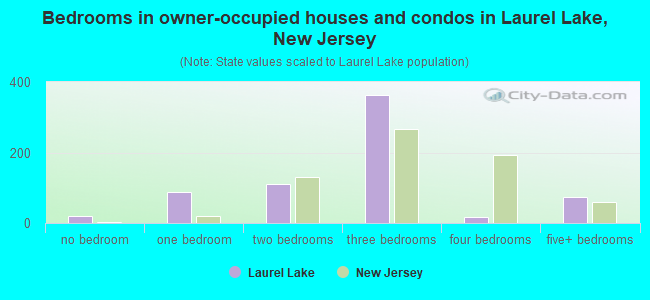 Bedrooms in owner-occupied houses and condos in Laurel Lake, New Jersey