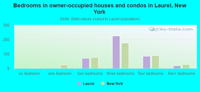 Bedrooms in owner-occupied houses and condos in Laurel, New York