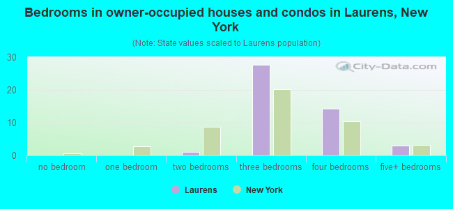 Bedrooms in owner-occupied houses and condos in Laurens, New York