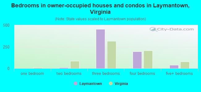 Bedrooms in owner-occupied houses and condos in Laymantown, Virginia