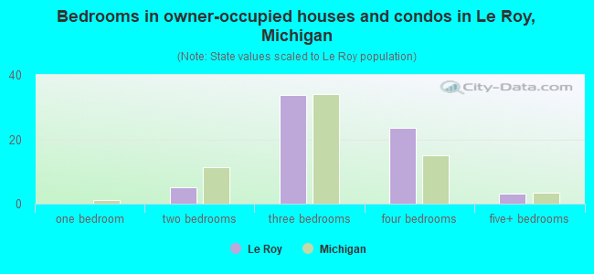 Bedrooms in owner-occupied houses and condos in Le Roy, Michigan