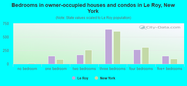 Bedrooms in owner-occupied houses and condos in Le Roy, New York