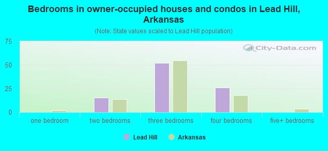 Bedrooms in owner-occupied houses and condos in Lead Hill, Arkansas