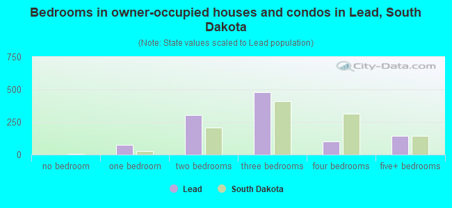 Bedrooms in owner-occupied houses and condos in Lead, South Dakota