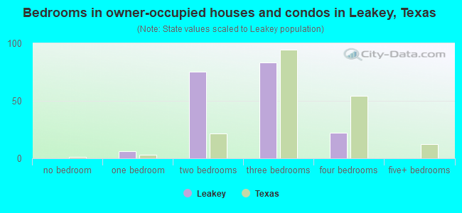 Bedrooms in owner-occupied houses and condos in Leakey, Texas