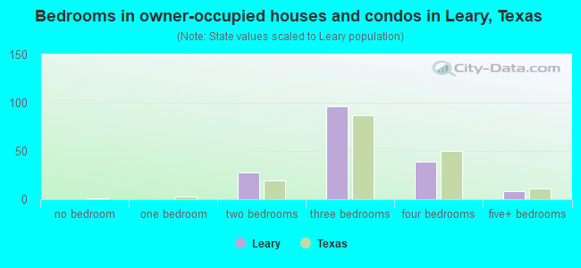 Bedrooms in owner-occupied houses and condos in Leary, Texas