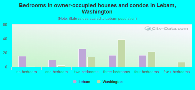 Bedrooms in owner-occupied houses and condos in Lebam, Washington