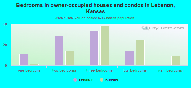 Bedrooms in owner-occupied houses and condos in Lebanon, Kansas