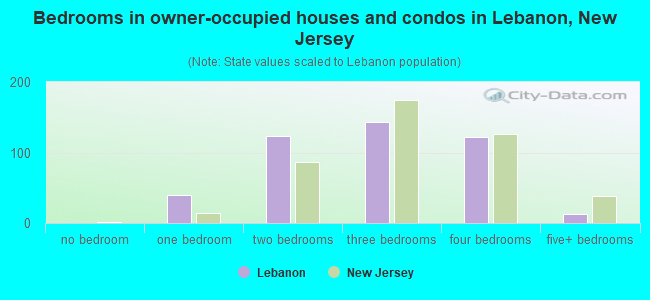 Bedrooms in owner-occupied houses and condos in Lebanon, New Jersey