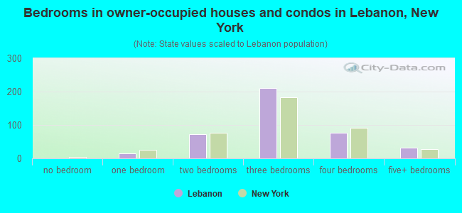 Bedrooms in owner-occupied houses and condos in Lebanon, New York