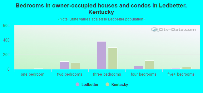 Bedrooms in owner-occupied houses and condos in Ledbetter, Kentucky