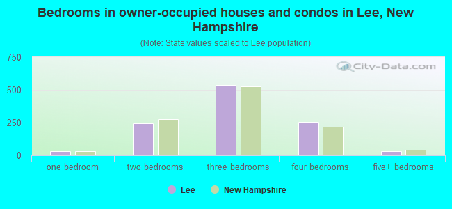 Bedrooms in owner-occupied houses and condos in Lee, New Hampshire