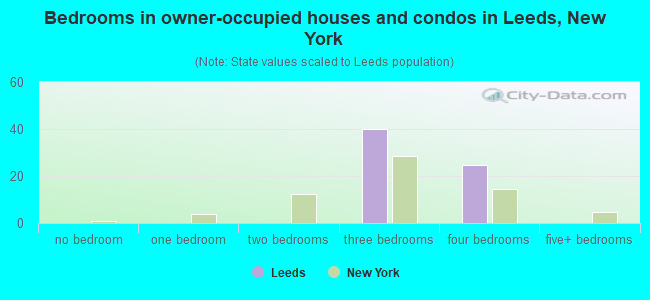 Bedrooms in owner-occupied houses and condos in Leeds, New York