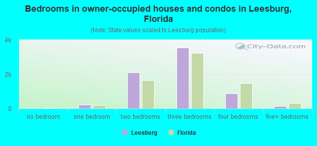 Bedrooms in owner-occupied houses and condos in Leesburg, Florida