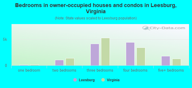 Bedrooms in owner-occupied houses and condos in Leesburg, Virginia