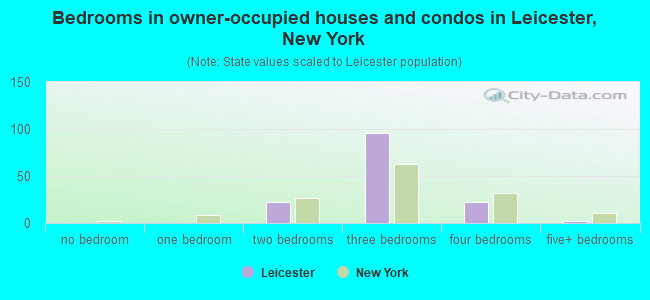 Bedrooms in owner-occupied houses and condos in Leicester, New York