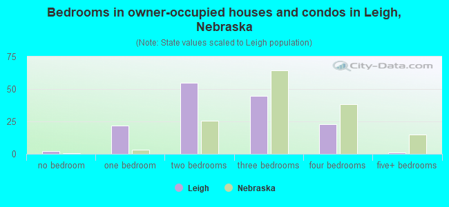 Bedrooms in owner-occupied houses and condos in Leigh, Nebraska