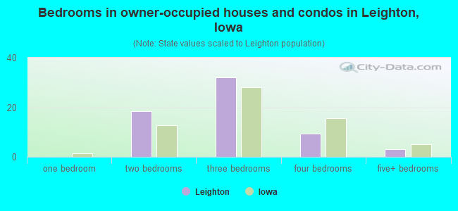 Bedrooms in owner-occupied houses and condos in Leighton, Iowa