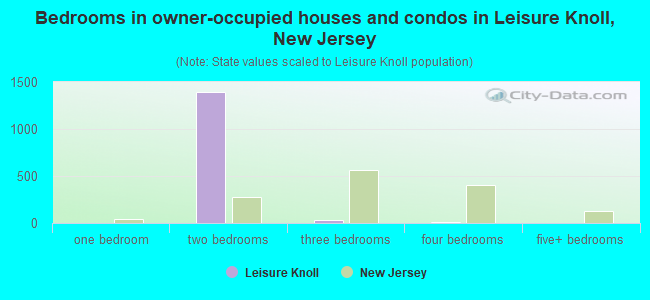 Bedrooms in owner-occupied houses and condos in Leisure Knoll, New Jersey