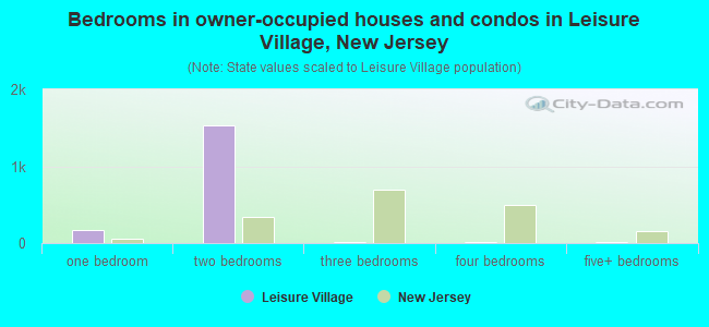 Bedrooms in owner-occupied houses and condos in Leisure Village, New Jersey