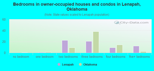 Bedrooms in owner-occupied houses and condos in Lenapah, Oklahoma