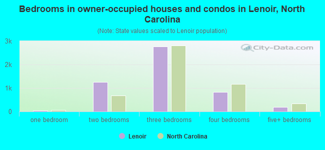 Bedrooms in owner-occupied houses and condos in Lenoir, North Carolina