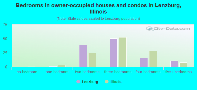 Bedrooms in owner-occupied houses and condos in Lenzburg, Illinois