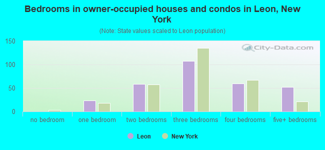 Bedrooms in owner-occupied houses and condos in Leon, New York