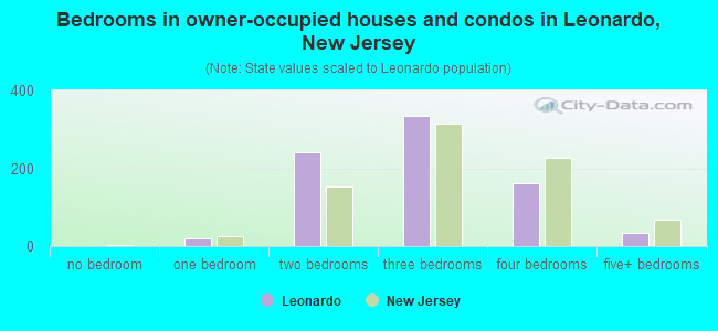 Bedrooms in owner-occupied houses and condos in Leonardo, New Jersey