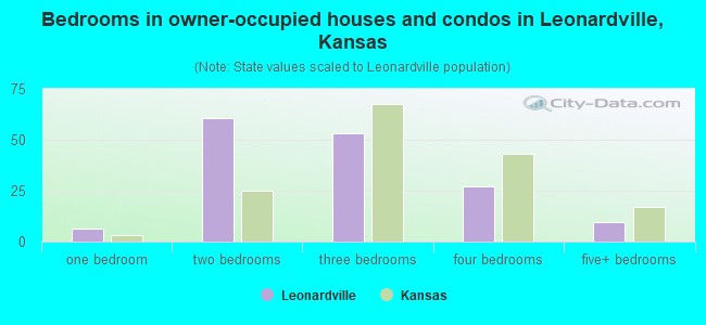 Bedrooms in owner-occupied houses and condos in Leonardville, Kansas