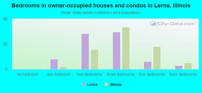 Bedrooms in owner-occupied houses and condos in Lerna, Illinois